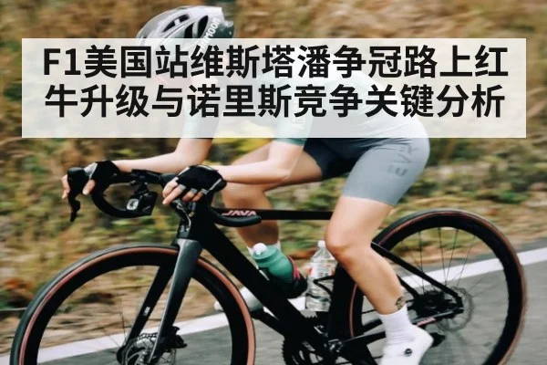 F1美国站维斯塔潘争冠路上红牛升级与诺里斯竞争关键分析